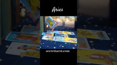 Aries ❤️ The Energy Was Perfect #Aries #tarot