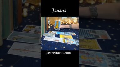 Taurus ❤️ You've Been With The Wrong Person #Taurus #tarot