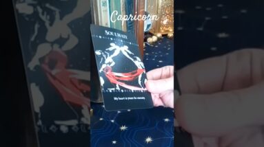 Capricorn ♥️  It's Mutual #Capricorn #tarot