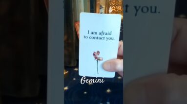 Gemini ♥️ Broken Heart! They Are Not OK #Gemini #tarot 8 Gemini ♥️ Broken Heart! They Are Not OK #Gemini #tarot