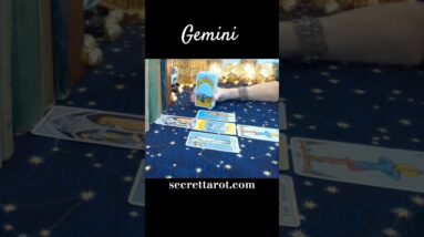 Gemini ♥️ If You Want It #Gemini #tarot