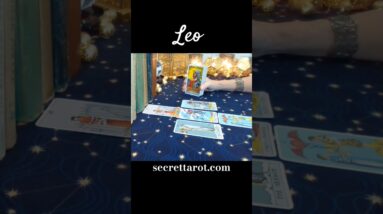 Leo ♥️  It's Like You're In Love #Leo #tarot