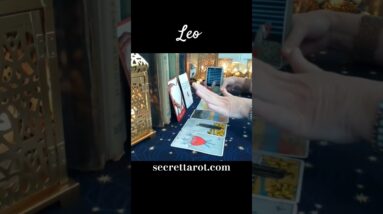 Leo ♥️ The Wedge Between You #Leo #tarot 12 Leo ♥️ The Wedge Between You #Leo #tarot