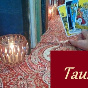Taurus February 2026 ❤ The Moment They Find Out You Are With Someone New FUTURE LOVE #Taurus #Tarot