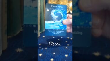 Pisces ❤️ Their Heart Is Shattered #Pisces #tarot