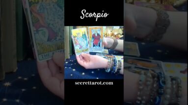 Scorpio ♥️  Divine Connection #Scorpio #tarot