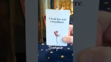 Scorpio ♥️ Hiding Their Emotions #Scorpio #tarot 12 Scorpio ♥️ Hiding Their Emotions #Scorpio #tarot