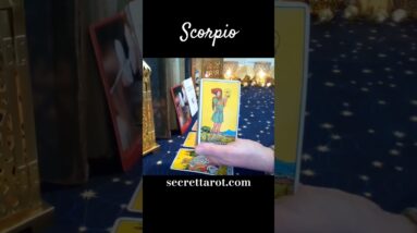 Scorpio ♥️  Moving On Isn't Working #Scorpio #tarot