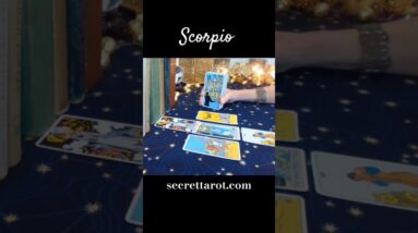 Scorpio ❤️  More Exposure Coming #Scorpio #tarot