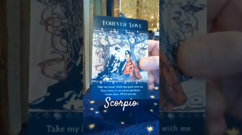 Scorpio ❤️ Take My Hand #Scorpio #tarot 1 Scorpio ❤️ Take My Hand #Scorpio #tarot