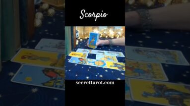 Scorpio ❤️ They Need To Know "Why?" #Scorpio #tarot