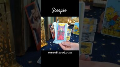 Scorpio ❤️ They Regret Everything #Scorpio #tarot 14 Scorpio ❤️ They Regret Everything #Scorpio #tarot