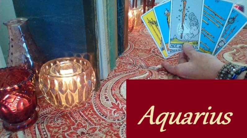 Aquarius February 2026 ❤ Oh To Be Alone With You! Let THEM Do Most Of The Talking FUTURE LOVE #tarot