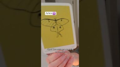 ARIES : Your Gift & Abundance FLOW | February 2026 Zodiac Tarot Reading #shorts #tarot