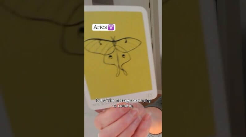 ARIES : Your Gift & Abundance FLOW | February 2026 Zodiac Tarot Reading #shorts #tarot 1 ARIES : Your Gift & Abundance FLOW | February 2026 Zodiac Tarot Reading #shorts #tarot