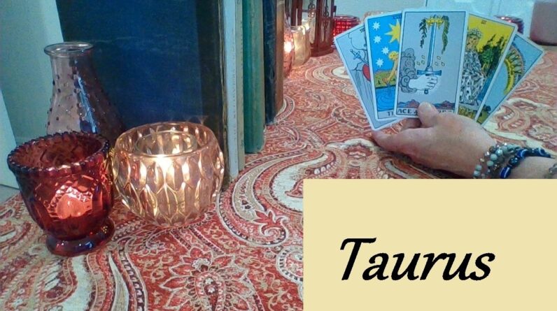 Taurus ❤ They Can't Move On Until You Know The Truth YOUR SOULMATE End Of February 2026 #Taurus 1 Taurus ❤ They Can't Move On Until You Know The Truth YOUR SOULMATE End Of February 2026 #Taurus