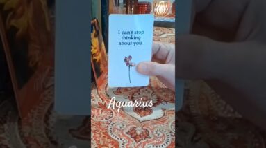 Aquarius ❤️  Healthy Obsession #Aquarius #tarot