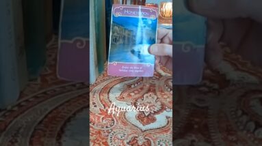 Aquarius ❤️  Moving Towards You #Aquarius #tarot
