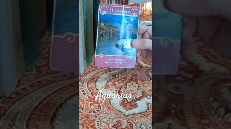 Aquarius ❤️ Moving Towards You #Aquarius #tarot 1 Aquarius ❤️ Moving Towards You #Aquarius #tarot