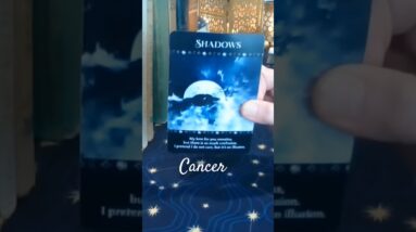Cancer ♥️  So Much Confusion #Cancer #tarot