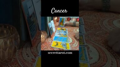 Cancer ♥️  They Want It #Cancer #tarot