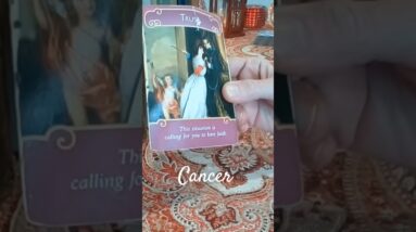 Cancer ♥️  Ummmm, No #Cancer #tarot