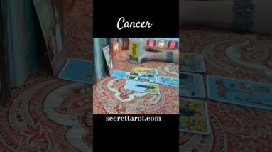 Cancer ♥️ Your New Relationship #Cancer #tarot