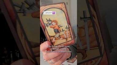 CANCER : Mid February 2026 Zodiac Tarot Reading #shorts #tarot