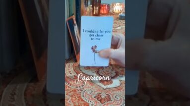 Capricorn ❤️  The Other Person #Capricorn #tarot