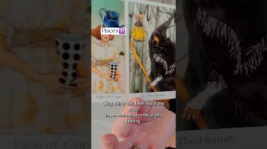 PISCES : Did You See Them Clearly? | February 2026 Zodiac Tarot Reading #shorts #tarot