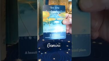 Gemini ♥️ Someone Special #Gemini #tarot