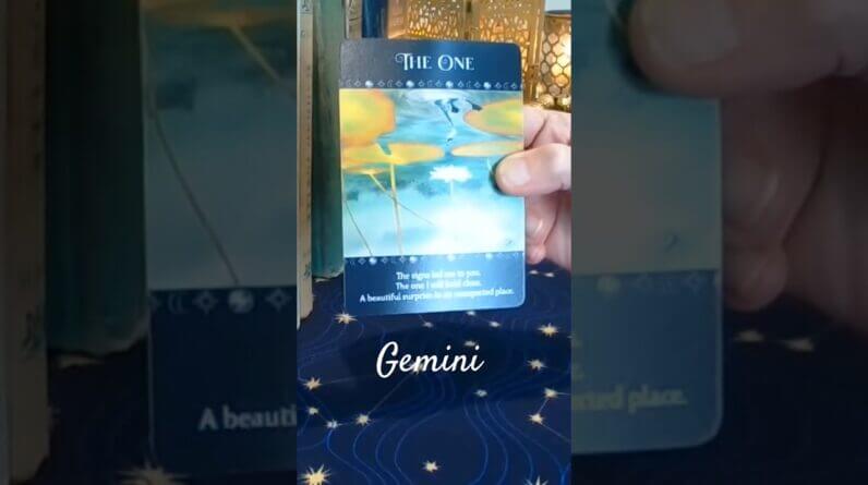 Gemini ♥️ Someone Special #Gemini #tarot 1 Gemini ♥️ Someone Special #Gemini #tarot