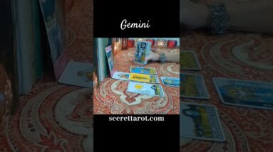 Gemini ♥️  Yes, Another One #Gemini #tarot