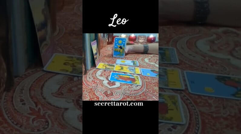 Leo ♥️  A Good Time,  Not A Long Time #Leo #tarot