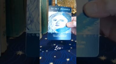 Leo ♥️  It's YOU! #Leo #tarot