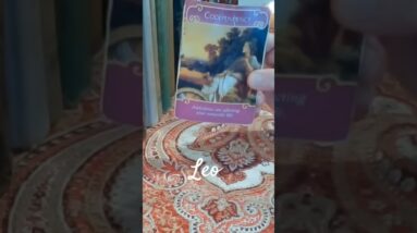 Leo ♥️  The "Pick Me" Can Have Em #Leo #tarot