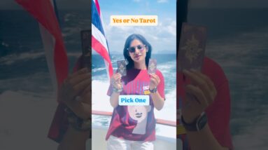 Yes or No Tarot for Your Quick Question #yesornotarot #yesorno #tarotreading #travel #thailand #sea