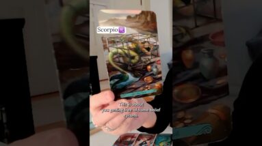 SCORPIO : What's Really Going On Here? | February 2026 Zodiac Tarot Reading #shorts #tarot