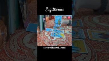Sagittarius ❤️  They're Not Done #Sagittarius #tarot