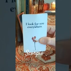 Scorpio ❤️  They'll Find You #Scorpio #tarot