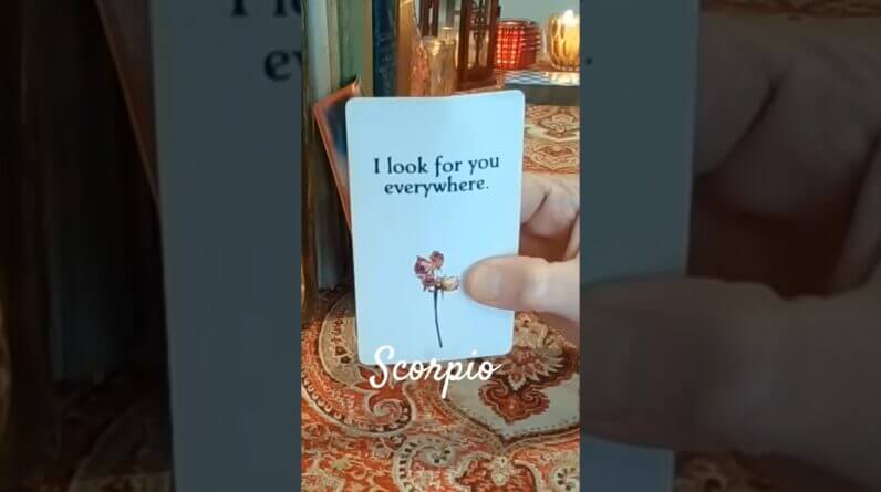Scorpio ❤️  They'll Find You #Scorpio #tarot