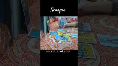 Scorpio ❤️  They'll Get Crazy #Scorpio #tarot