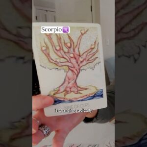 SCORPIO : Mid February 2026 Zodiac Tarot Reading #shorts #tarot