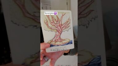 SCORPIO : Mid February 2026 Zodiac Tarot Reading #shorts #tarot