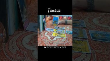 Taurus ❤️  Hot Gossip #Taurus #tarot