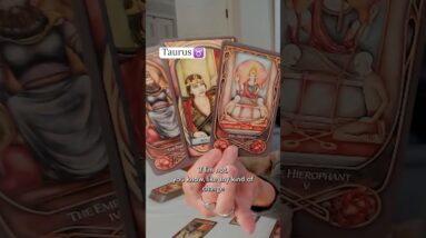 TAURUS : Mid February 2026 Zodiac Tarot Reading #shorts #tarot