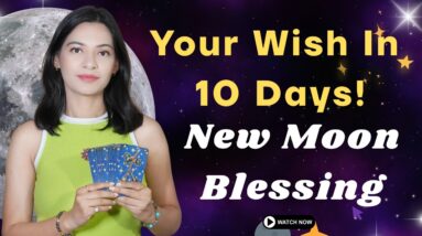 😲One Wish Will Come True in 10 Days!🌙NEW MOON BLESSING🌑YOUR ZODIAC SIGN BASED TAROT READING #newmoon 16 😲One Wish Will Come True in 10 Days!🌙NEW MOON BLESSING🌑YOUR ZODIAC SIGN BASED TAROT READING #newmoon