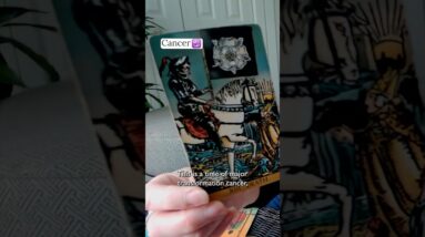 CANCER : The YOU You Are Becoming | Mid March 2026 Zodiac Tarot Reading #shorts #tarot 4 CANCER : The YOU You Are Becoming | Mid March 2026 Zodiac Tarot Reading #shorts #tarot