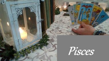 Pisces ❤️💋💔 AMAZING! Do Not Let This Moment Pass By Pisces LOVE LUST LOSS Now-March 14th #pisces