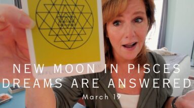Your Daily Tarot Reading : Your Dreams & Prayers Are Being Answered | Spiritual Path Guidance